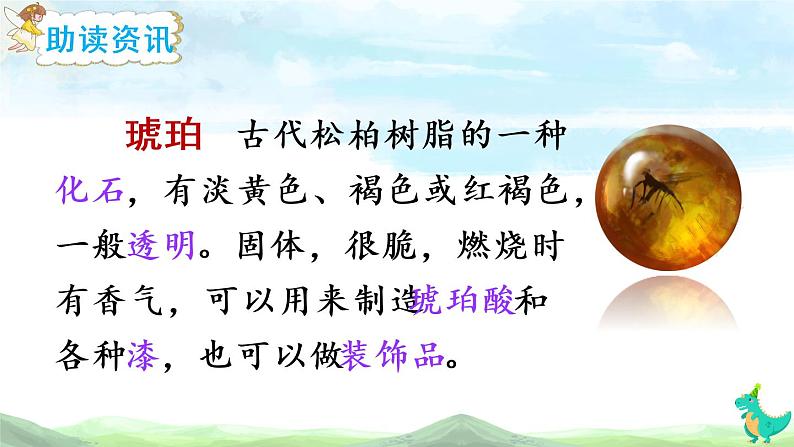 5 琥珀(课件)第6页
