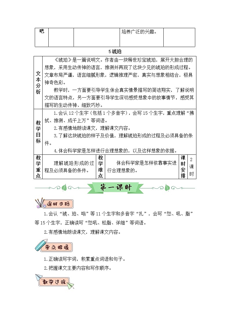5 琥珀(教案)第3页