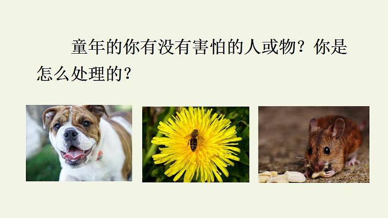 部编版(五四制)语文四年级上册 18 牛和鹅(课件)第4页