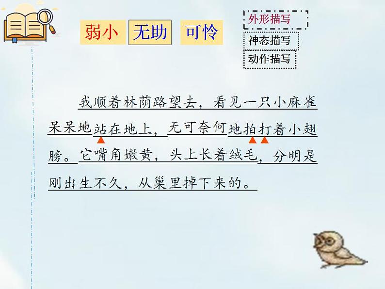 部编版(五四制)语文四年级上册 16 麻雀(课件)03
