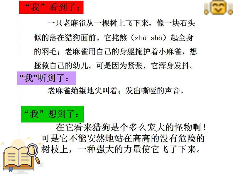 部编版(五四制)语文四年级上册 16 麻雀(课件)06