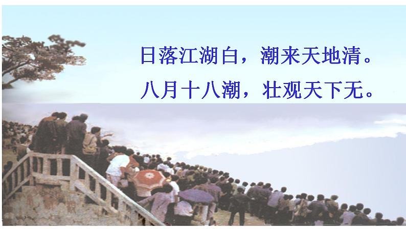 部编版(五四制)语文四年级上册 1 观潮(4)(课件)05