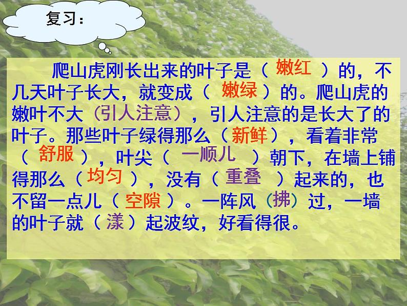 部编版(五四制)语文四年级上册 10 爬山虎的脚(课件)03