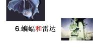 人教部编版 (五四制)四年级上册第二单元6 蝙蝠和雷达课前预习课件ppt