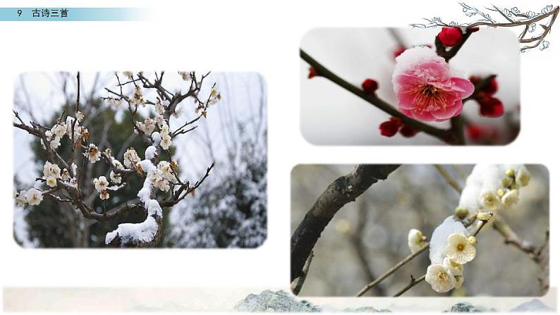 古诗三首 雪梅课件PPT第1页