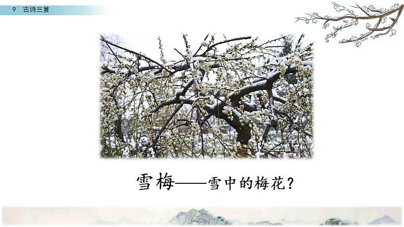 古诗三首 雪梅课件PPT第3页
