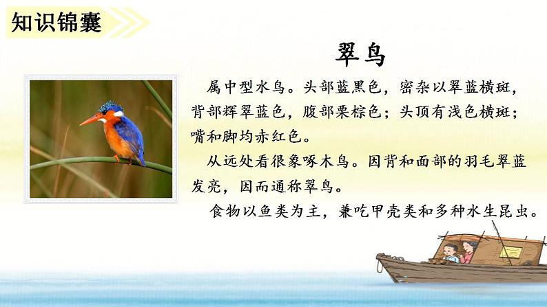 15 (课堂教学课件)搭船的鸟第5页