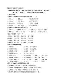 人教部编版五年级上册13 少年中国说（节选）优秀练习题