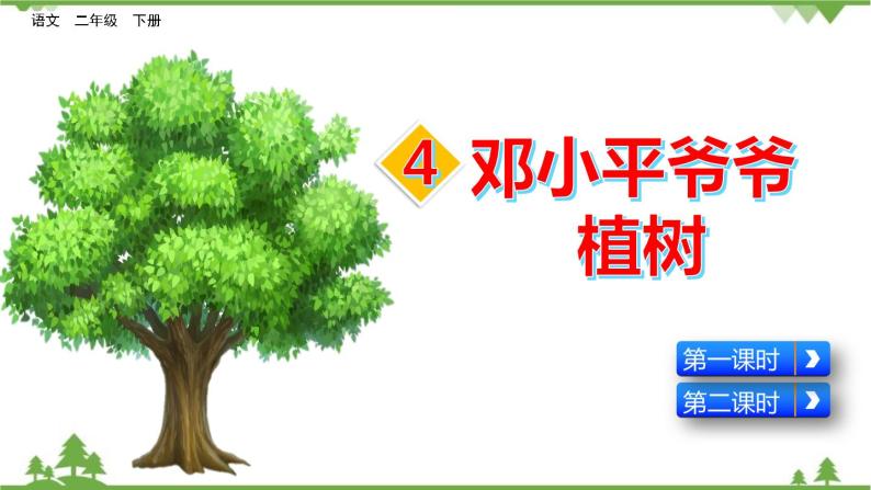 部编版语文二年级下册 4 邓小平爷爷植树 课件02