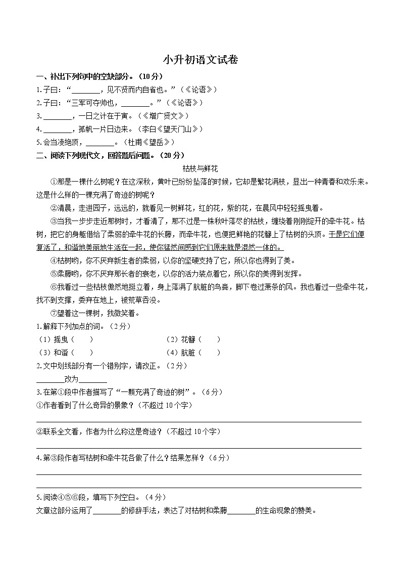 小升初語(yǔ)文試卷（二十九）第1頁(yè)