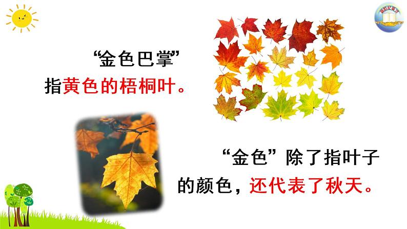 5铺满金色巴掌的水泥道课件PPT第8页