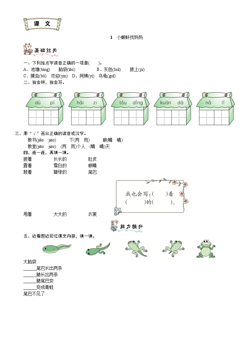 语文二年级上册课文11 小蝌蚪找妈妈练习题