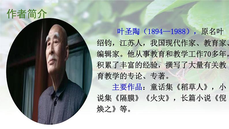 10 爬山虎的脚课件PPT02