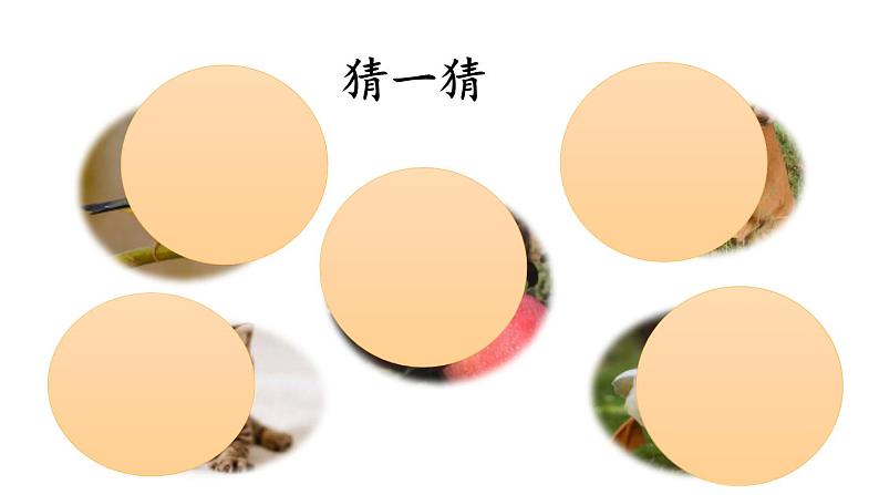 7.大小多少(课件)-2021-2022学年语文一年级上册 第一课时第2页