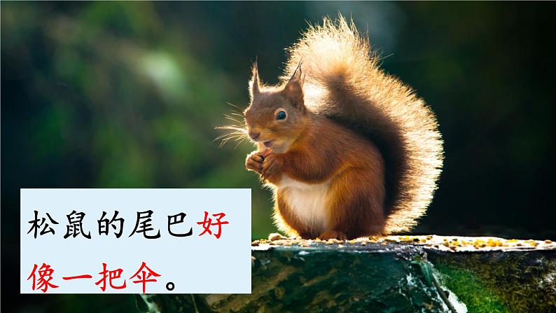 6.比尾巴(课件)-2021-2022学年语文一年级上册-第二课时第8页