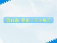 小学语文人教部编版二年级下册11 我是一只小虫子课堂教学ppt课件