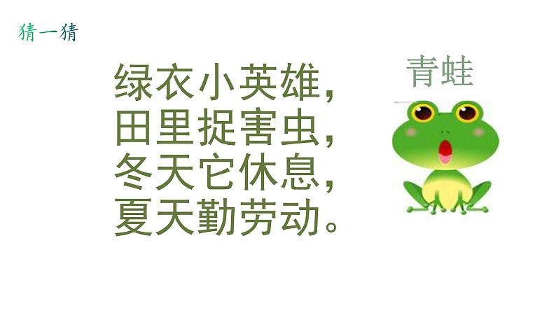 人教版语文一年级下册:识字3 小青蛙课件PPT02