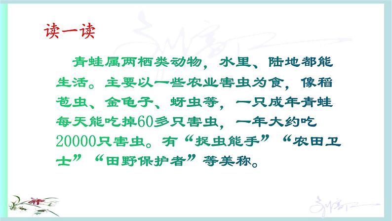 人教版语文一年级下册:识字3 小青蛙课件PPT03