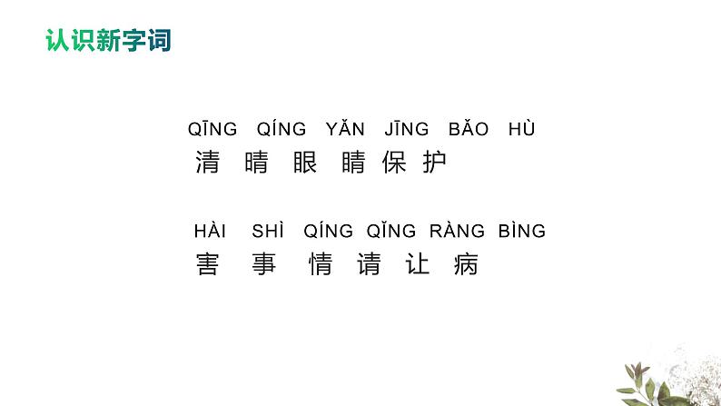 人教版语文一年级下册:识字3 小青蛙课件PPT05