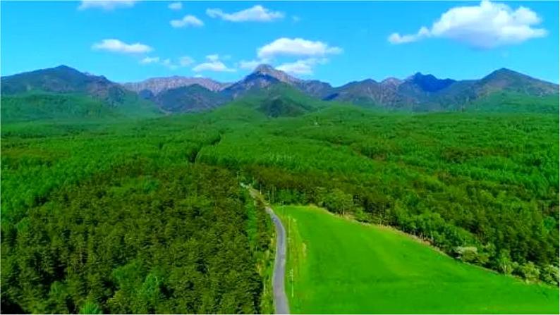 部编版六年级上册语文20青山不老课件05