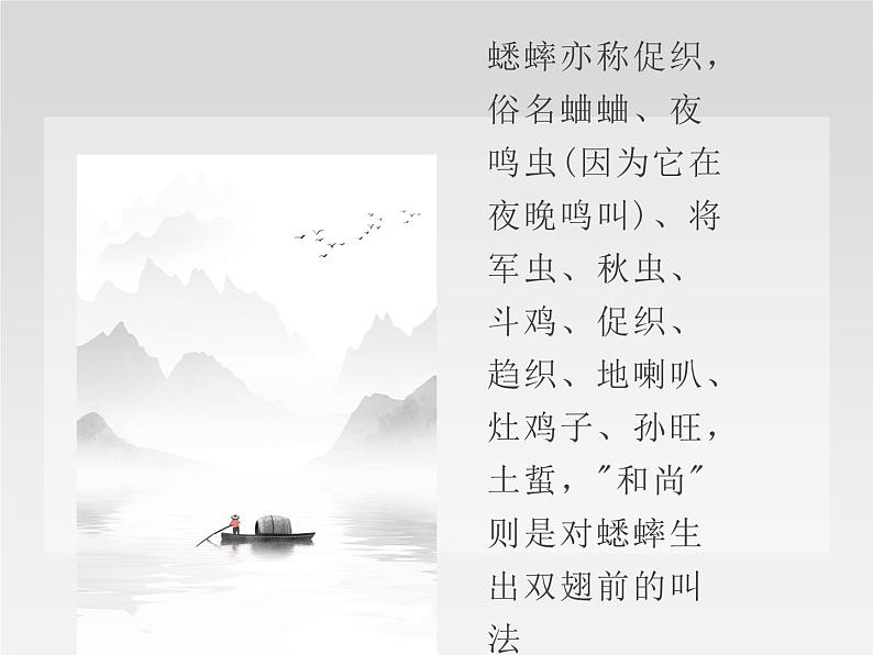 人教部编版四年级语文上册11.蟋蟀的住宅 课件05