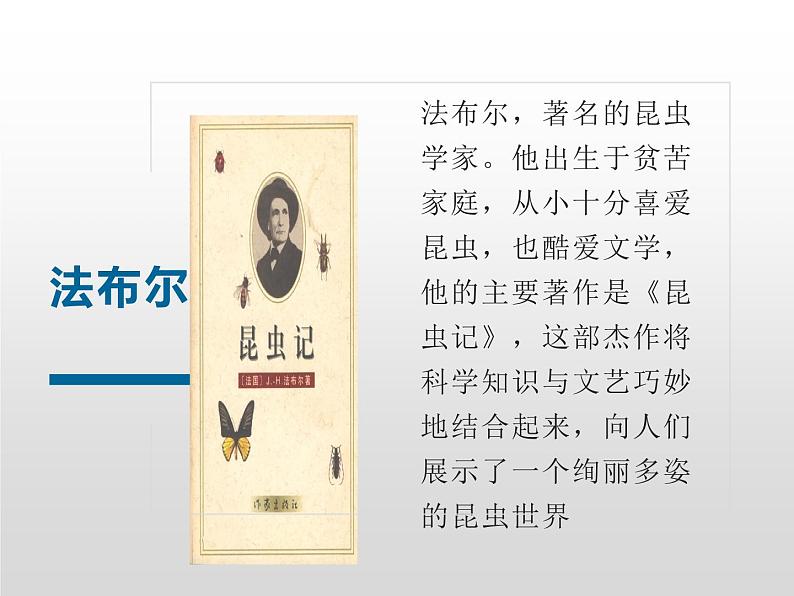 人教部编版四年级语文上册11.蟋蟀的住宅 课件06