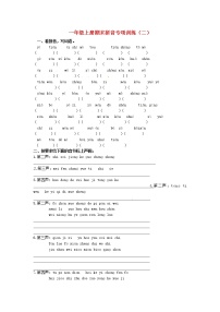 一年级语文上册期末拼音专项训练二新人教版