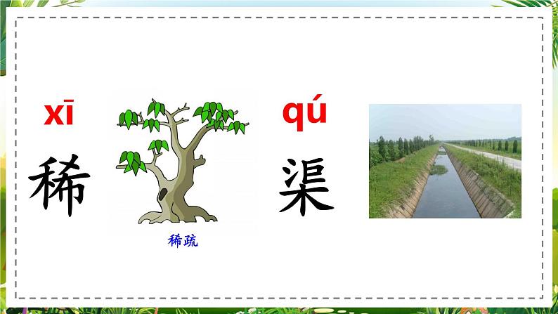 17、《要是你在野外迷了路》优质课件 部编版二年级下册第8页