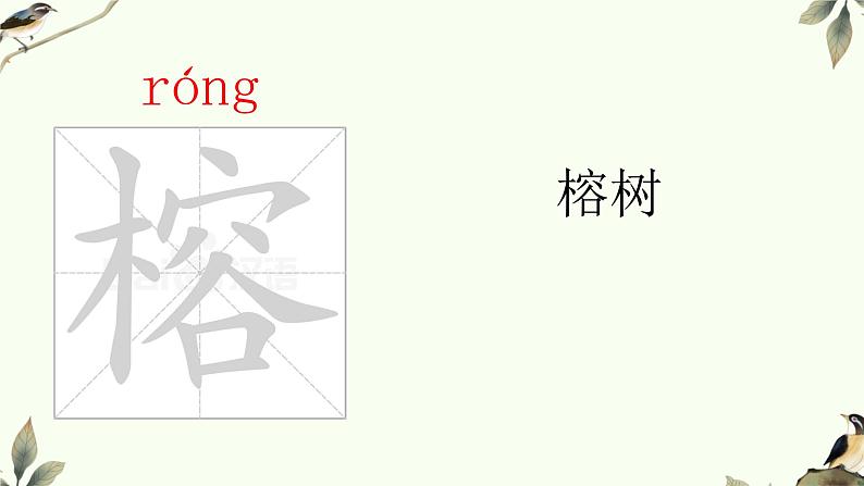 部编版语文五年级上册《鸟的天堂》课件PPT04