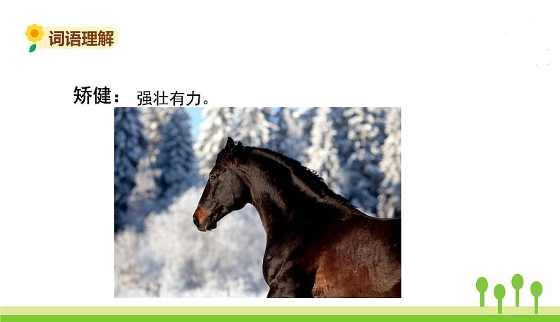 五四制五年级语文上册 第五单元 第17课松鼠 PPT课件07
