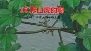 人教部编版 (五四制)四年级上册10 爬山虎的脚教课内容ppt课件