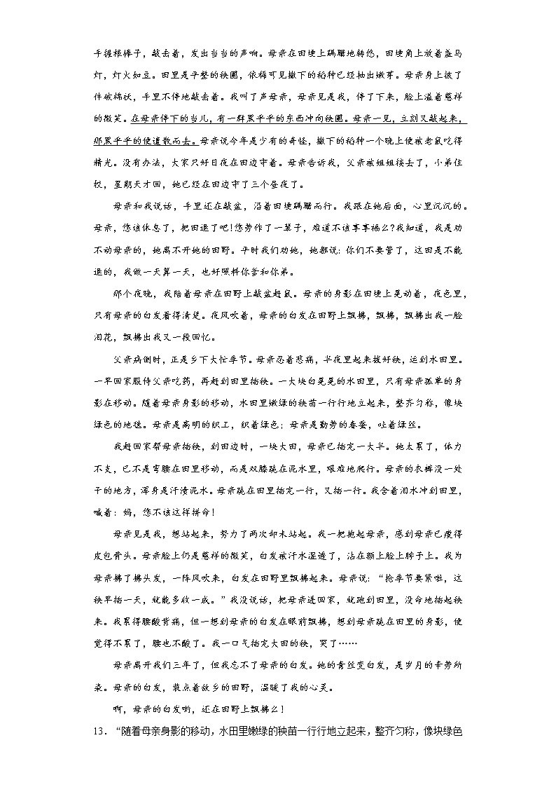 部编版语文四年级上第一单元复习试题第3页