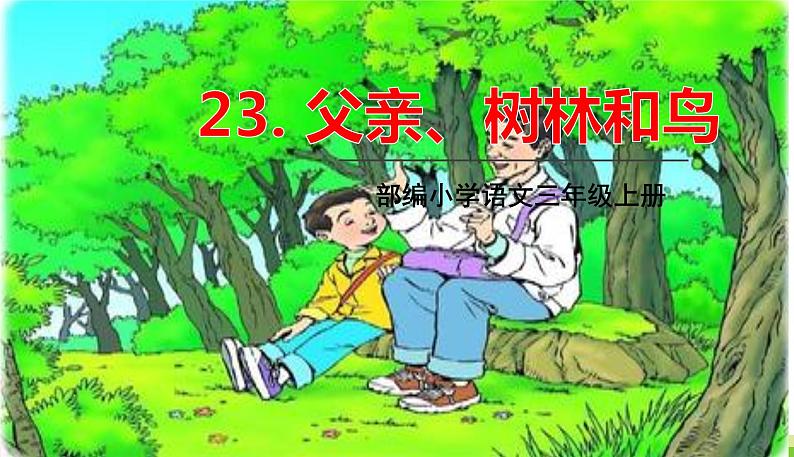 五四制三年级语文上册 23.父亲、树林和鸟 PPT课件01