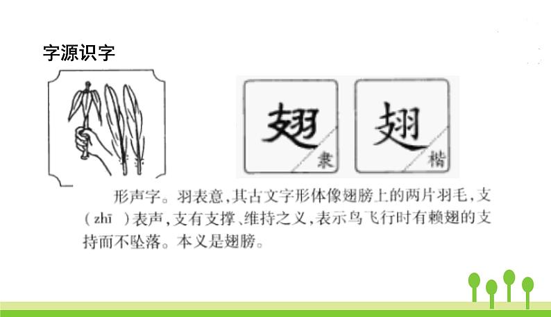 五四制三年级语文上册 23.父亲、树林和鸟 PPT课件05