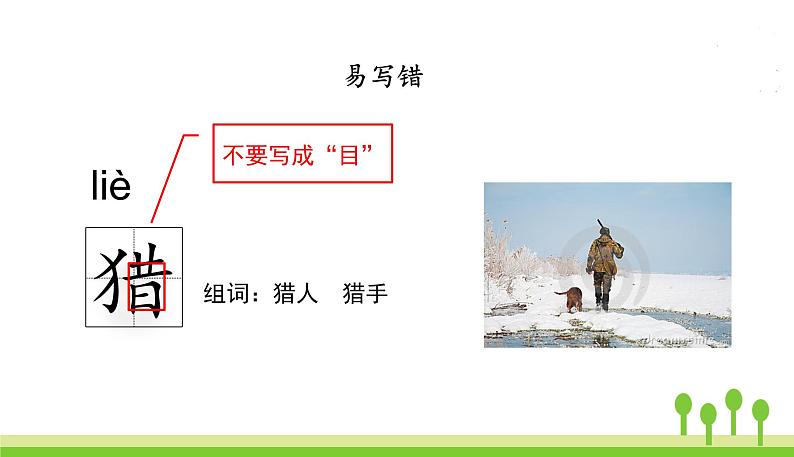 五四制三年级语文上册 23.父亲、树林和鸟 PPT课件08