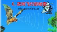 人教部编版 (五四制)四年级上册6 蝙蝠和雷达授课课件ppt