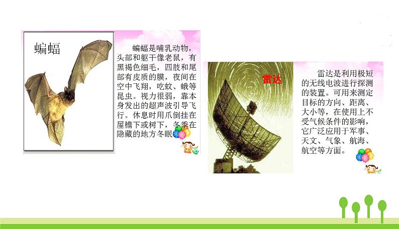 6夜间飞行的秘密第2页