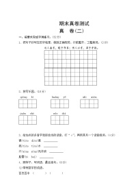 部编版语文三年级上册   期末真卷测试  二（含答案）