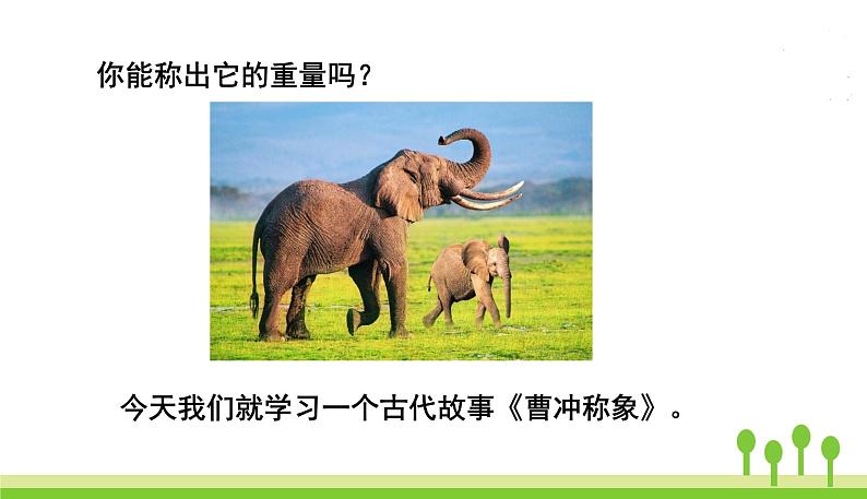五四制二年级语文上册 4.曹冲称象 PPT课件03