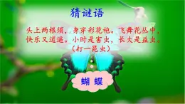 22、小毛虫 优质课件（无音频素材）