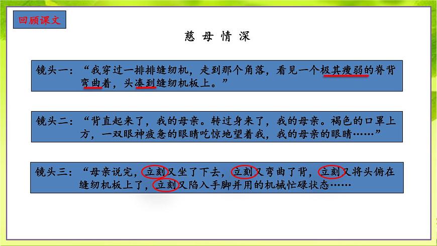 部編版語文五年級上冊《習作：我想對您說》課件第4頁