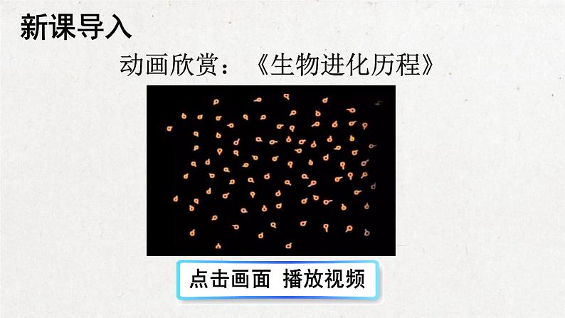 部编版 语文五年级下册 23 童年的发现 课件第2页