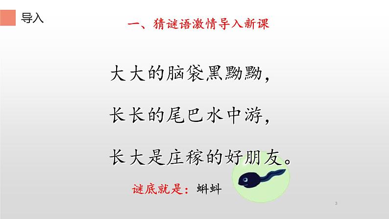 部编版语文二年级上册 1 小蝌蚪找妈妈 (3)(课件)03