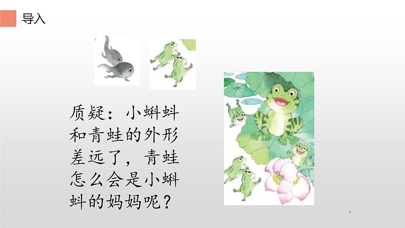 部编版语文二年级上册 1 小蝌蚪找妈妈 (3)(课件)04