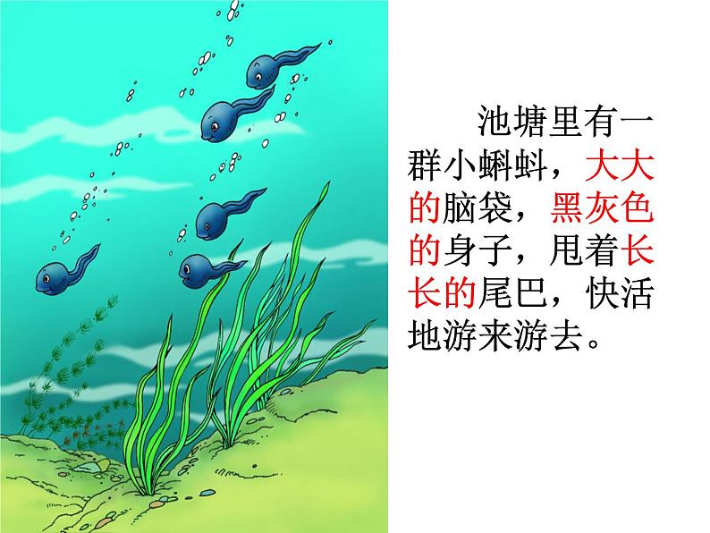 部编版语文二年级上册 1 小蝌蚪找妈妈(课件)第3页