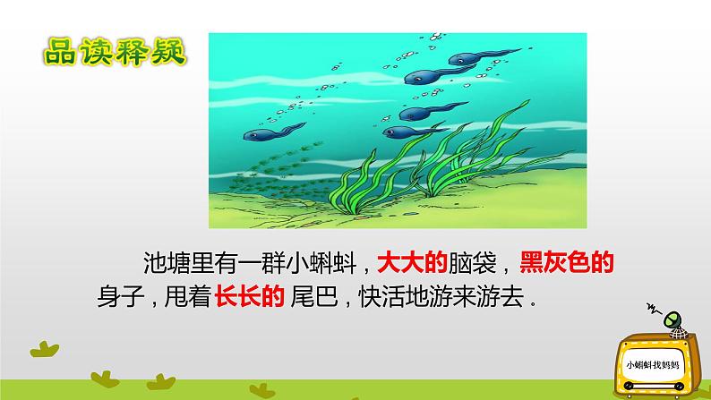 部编版语文二年级上册 1 小蝌蚪找妈妈(课件)第4页