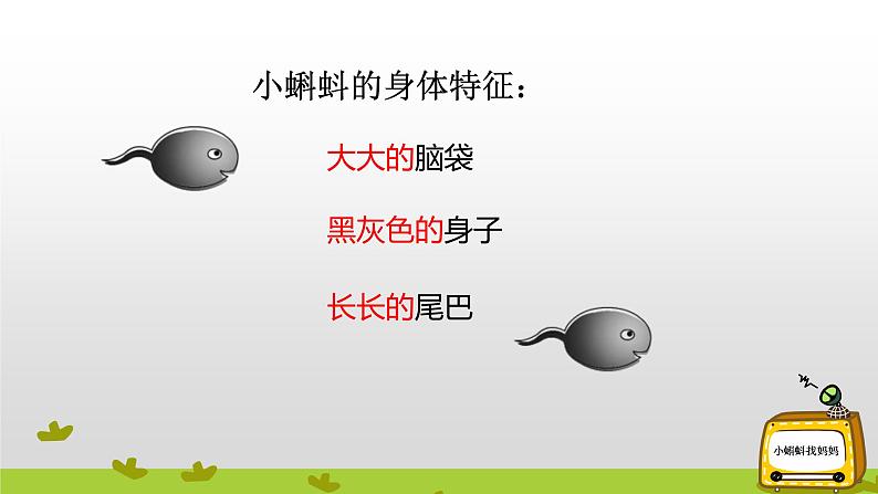 部编版语文二年级上册 1 小蝌蚪找妈妈(课件)第5页