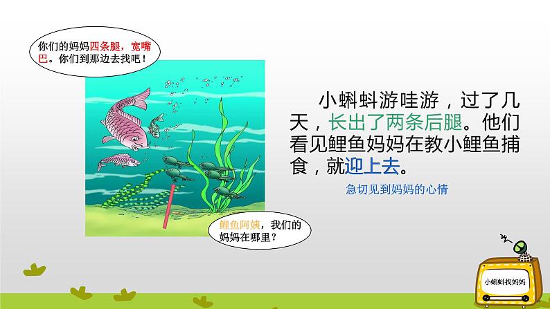 部编版语文二年级上册 1 小蝌蚪找妈妈(课件)第6页