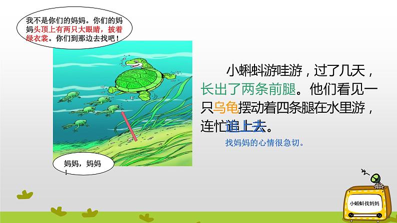 部编版语文二年级上册 1 小蝌蚪找妈妈(课件)第7页