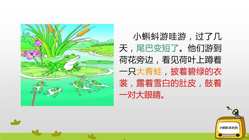 部编版语文二年级上册 1 小蝌蚪找妈妈(课件)第8页